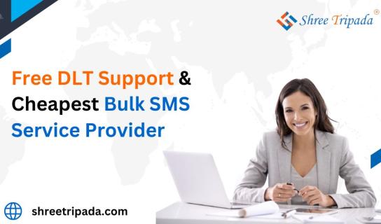 Free DLT Support & Cheapest Bulk SMS Service Provider - Shree Tripada logo