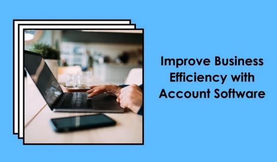 Business Efficiency with Accounting Software logo