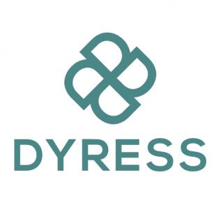 Dyress - Optimize the use of shared resources in projects logo