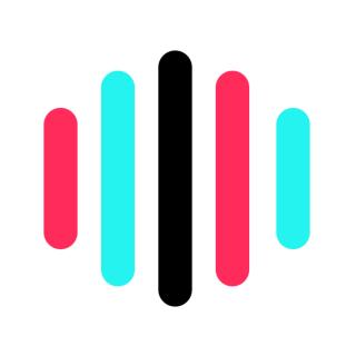 TikTok Voice logo