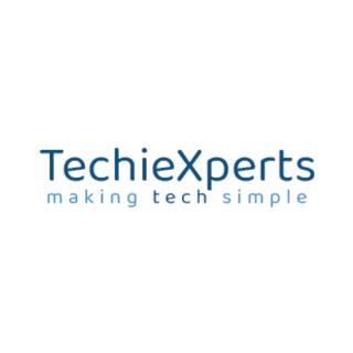 TechieXperts logo