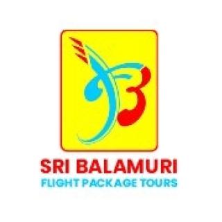 Sri Balamuri Flight Package Tour logo