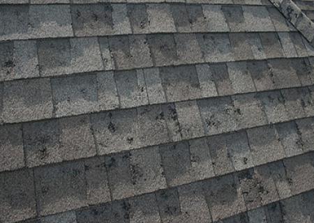 Fort Worth Hail Damage Roof Repair By FortWorthTxRoofingPro logo