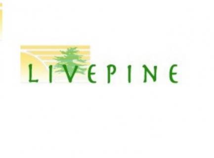 Livepine logo