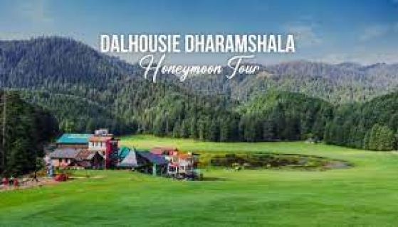 Nature's Therapy: Rejuvenating Dharamshala Holidays logo