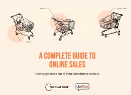 A Complete Guide to Online Sales logo