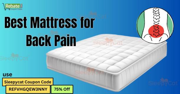 How do you choose the Best Mattress for Back Pain? logo