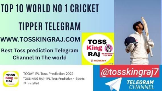 World No 1 Cricket Tipper Telegram 2024 logo