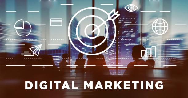 Digital Marketing- The New-Age Pro Marketing logo