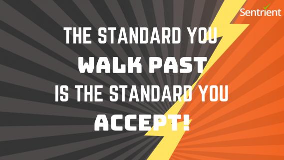 The Standard you Walk Past is the Standard you Accept! | Sentrient logo