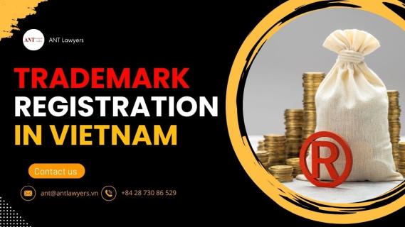 Avoid 3 Common Pitfalls with Expert Trademark Registration in Vietnam logo