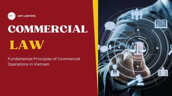 What Fundamental Principles of Commercial Law in Vietnam? logo