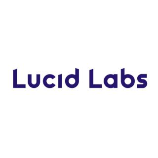 Lucid Labs - AI Consulting and Implementation logo