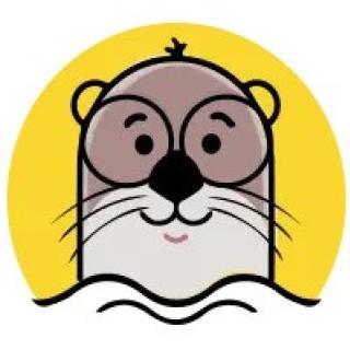 Digital Otters logo