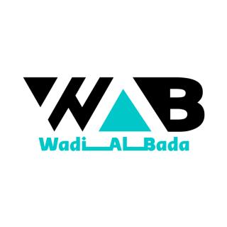 WADI AL BADA IT SOLUTIONS LLC logo