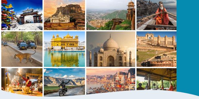 Discover India with the Best Tour Operators Today logo