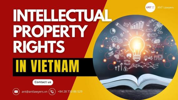 Important Matters on Intellectual Property Rights Registration in Vietnam logo