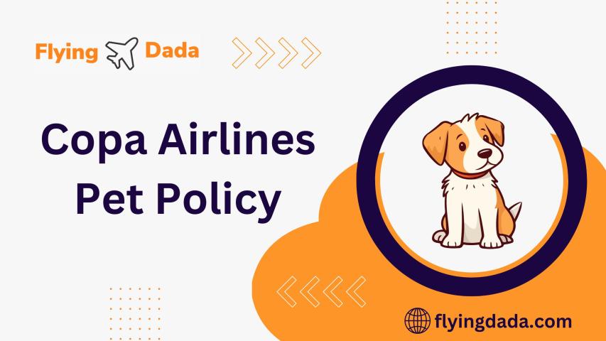 Traveling with Pets: Understanding Copa Airlines’ Pet Policy logo