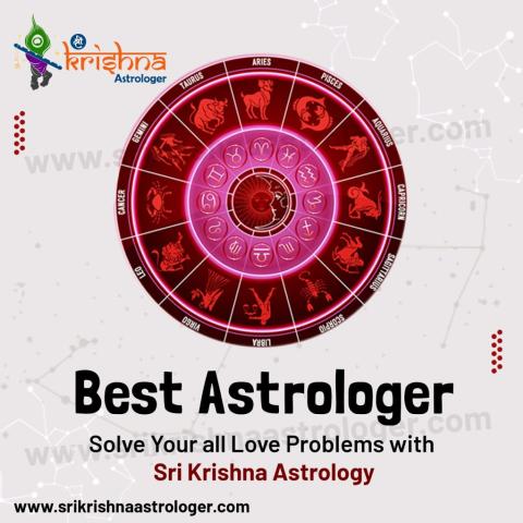 Best Astrologer in Raigad logo