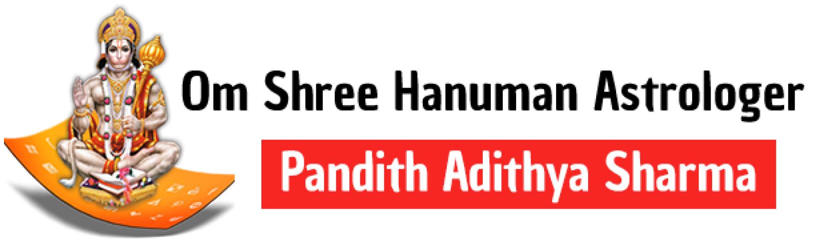 Best Astrologer Hanuman logo