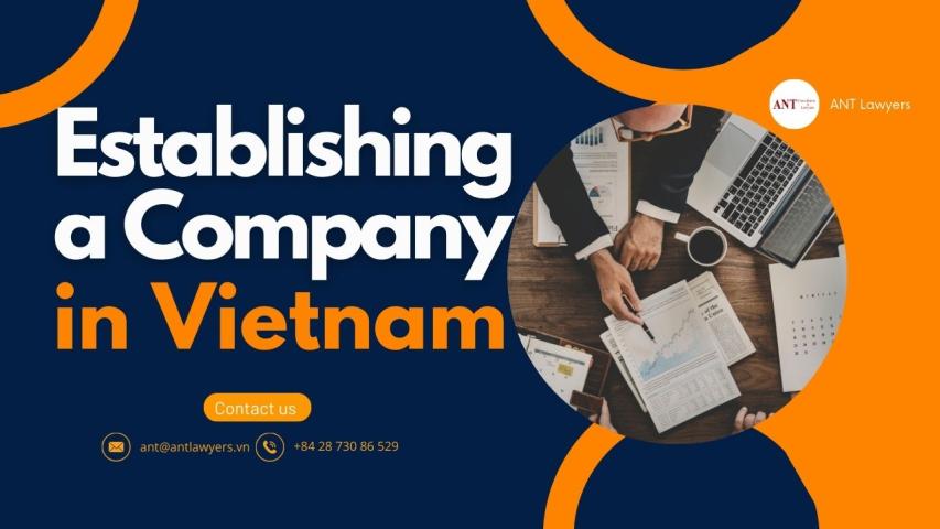 Establishing a Company in Vietnam: A Legal Perspective logo