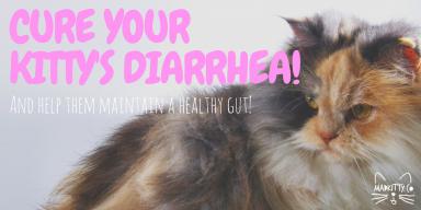 Cure Your Kitty's Diarrhea Naturally logo