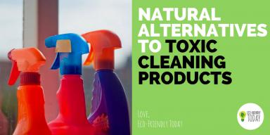 Natural Alternatives to Toxic Cleaning Supplies (+ a DIY Recipe) logo