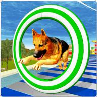 Crazy Dog Jump Stunt Sim 3D logo