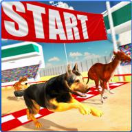 Dog Racing Stunt & Jump 3D Sim logo