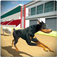 Dog Training Jump & Stunt Sim logo