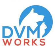 DVMWorks logo